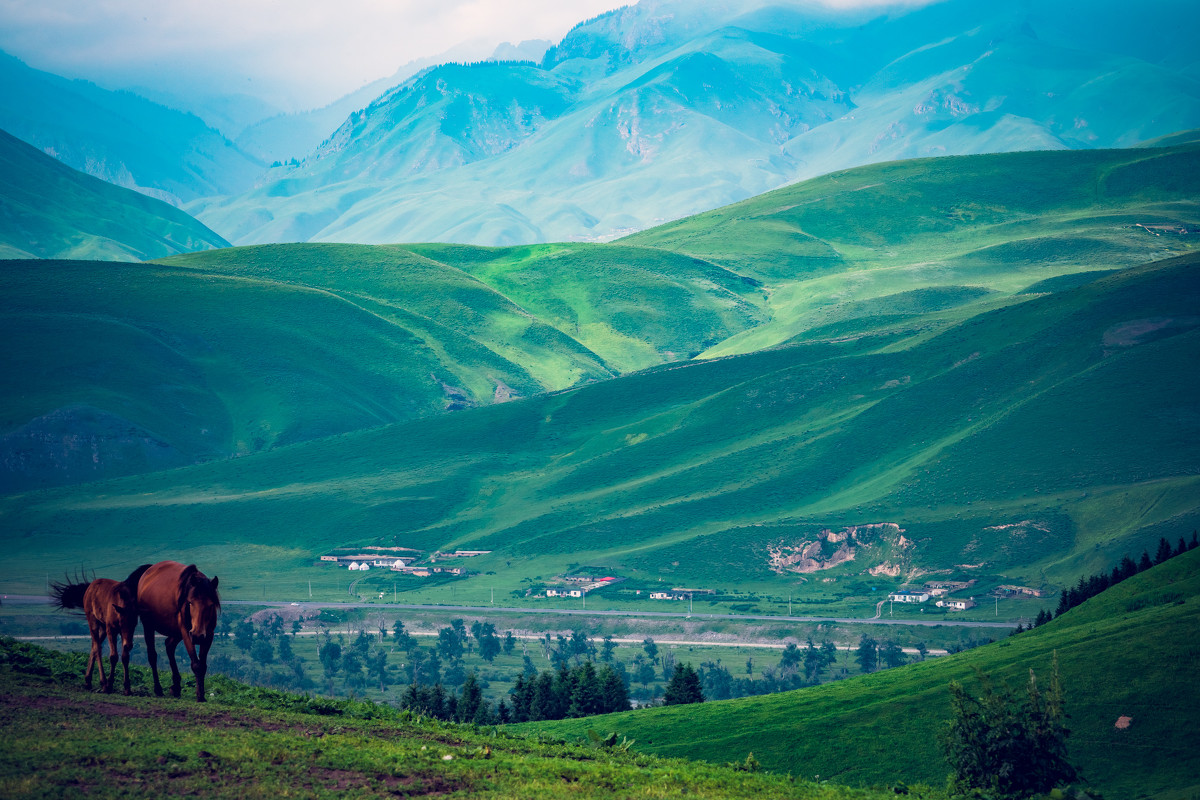 七月新疆旅游那拉提草原